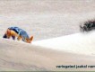 1303230409 - 000 - namibia desert variegatged jaakal tele